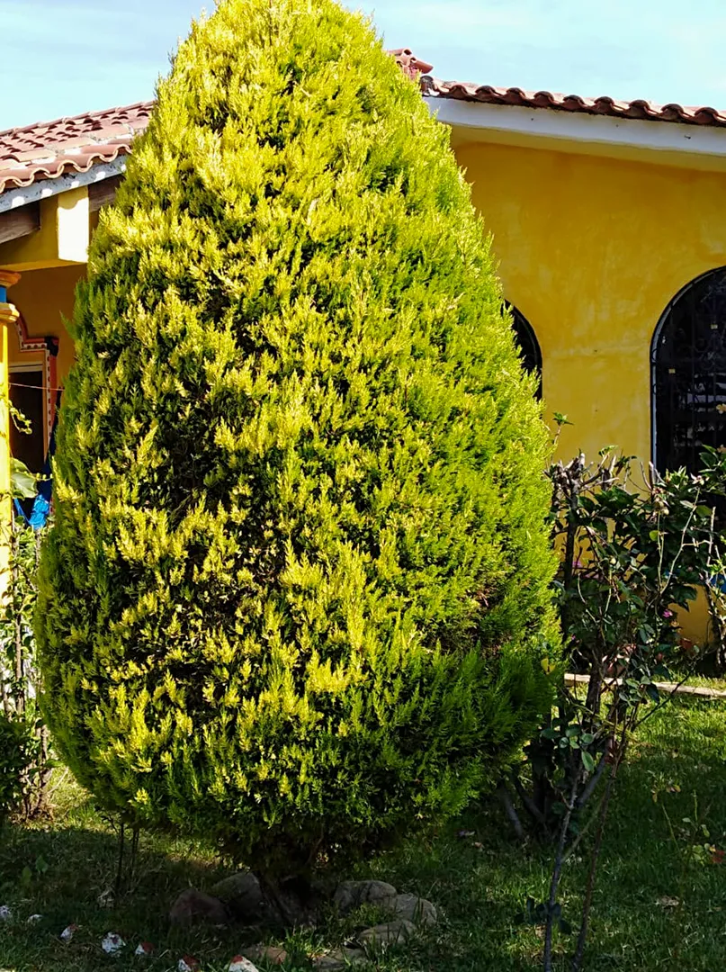 Sta Maria Coyotepec (31)