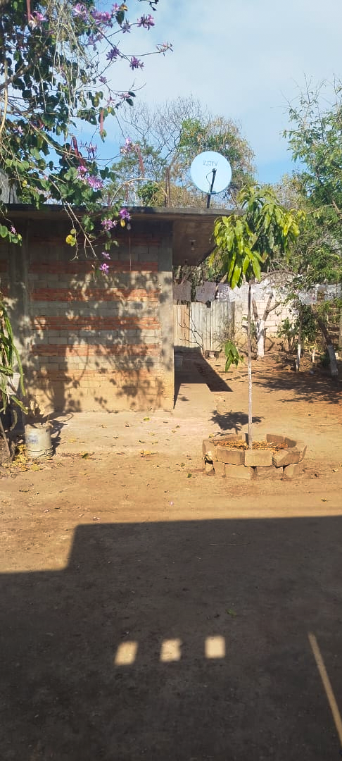 patio2